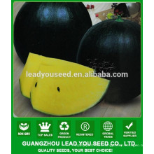 NW21 Haoyan Yellow watermelon seeds China seeds vegetable